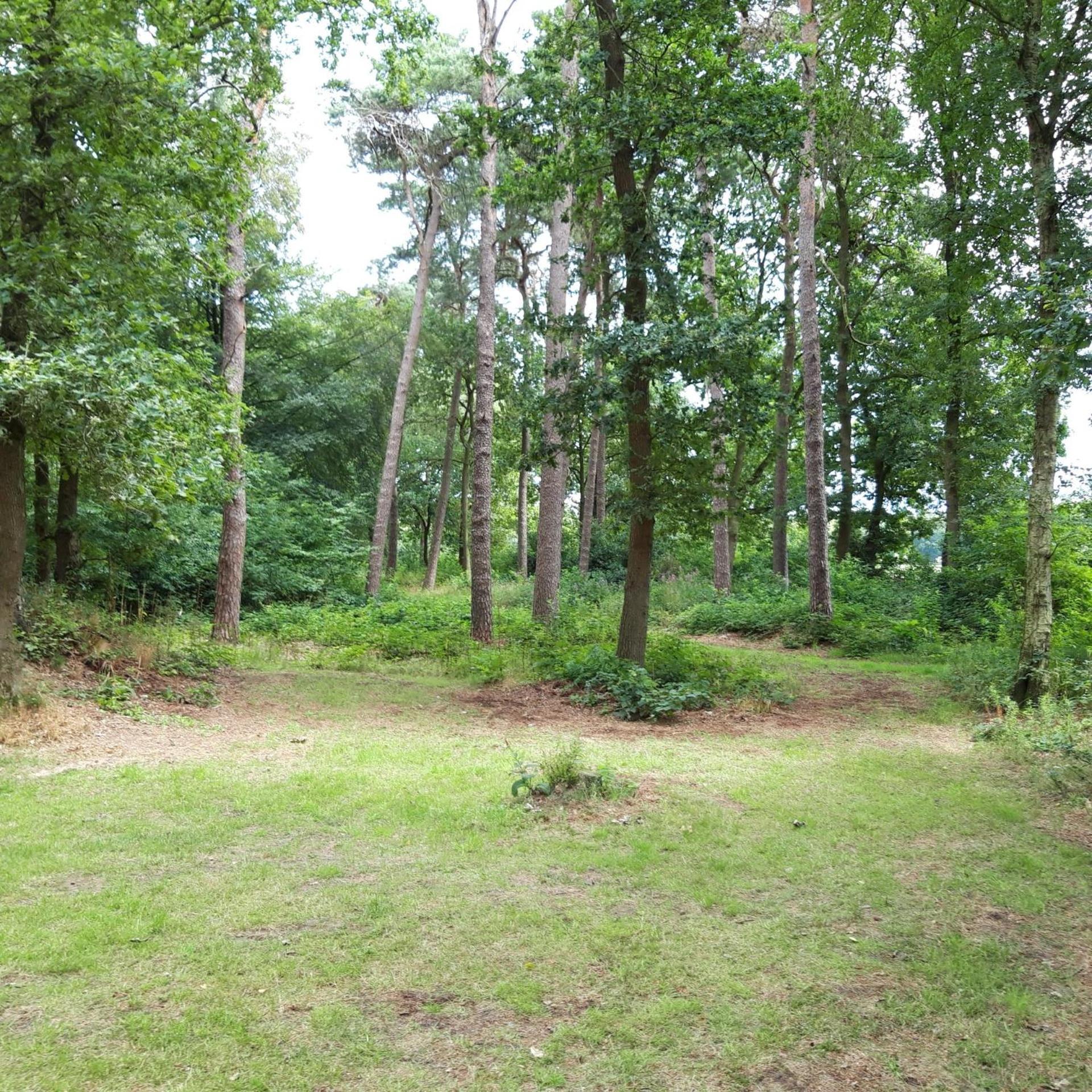 Vakantiehuis Op Top Locatie #Ommen Exterior foto